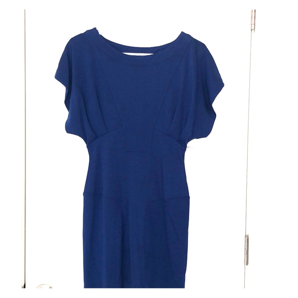 Blue French Connection Butterfly Sleeve Dress in 2